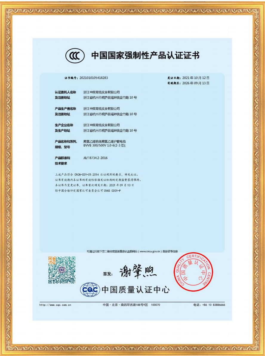 浙江中策南纜實業(yè)資質(zhì)證書202205版1(1)_12.jpg